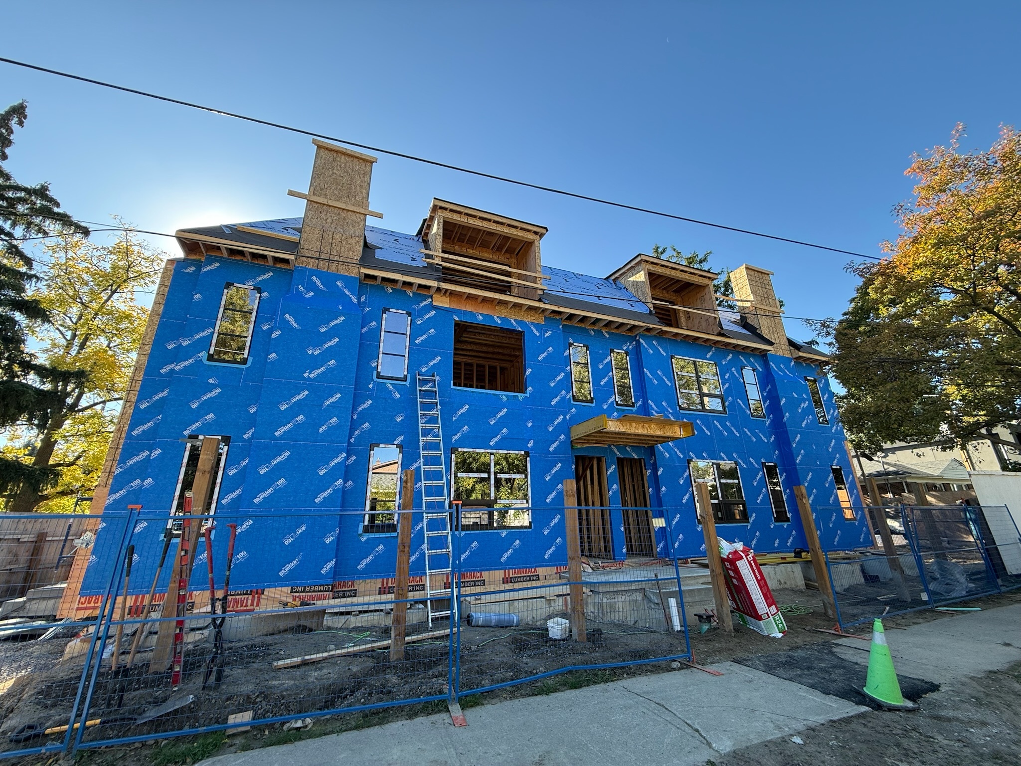 Multiplex Development